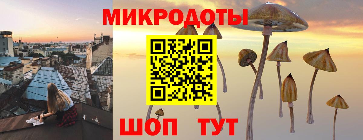 Наро-Фоминск  Псилоцибиновые грибы GOLDEN TEACHER  наркошоп  Псилоцибиновые грибы мухоморы  Вход с VPN 
